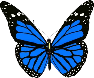 Vibrant Blue Butterfly.png PNG image