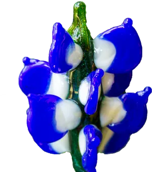 Vibrant Blue Hyacinth Blossom PNG image