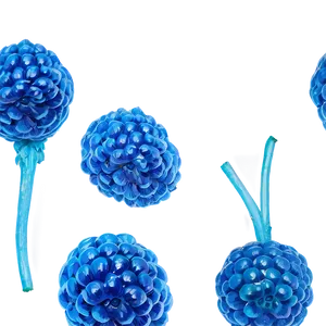 Vibrant Blue Raspberry Png 31 PNG image