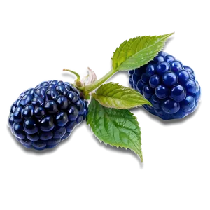 Vibrant Blue Raspberry Png Ass PNG image