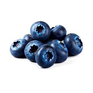 Vibrant Blueberry PNG 43