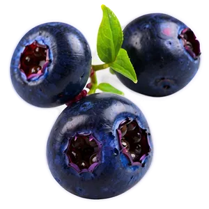 Vibrant Blueberry PNG Hos35