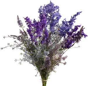 Vibrant Bouquetof English Lavender.png PNG image