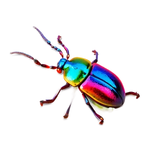 Vibrant Bug PNG 05242024