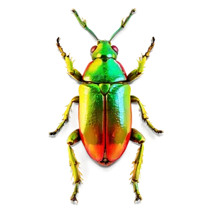 Vibrant Bug PNG 05242024 PNG