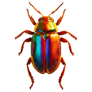 Vibrant Bug PNG Wbq42 PNG