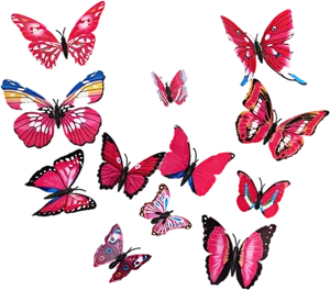 Vibrant Butterfly Collection Wall Art PNG