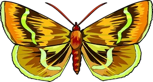 Vibrant Butterfly Illustration PNG