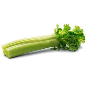 Vibrant Celery Stalk Png 50 PNG image