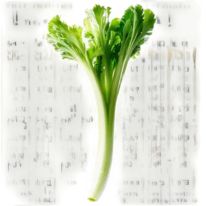 Vibrant Celery Stalk PNG Qwl PNG