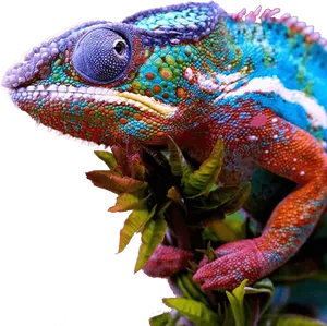 Vibrant Chameleon Portrait PNG image