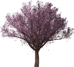 Vibrant Cherry Blossom Tree PNG image