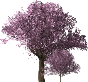 Vibrant_ Cherry_ Blossom_ Tree_ Render PNG image