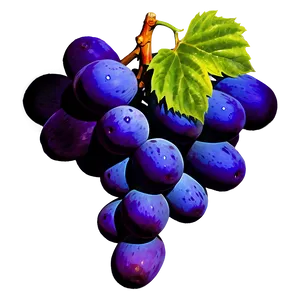 Vibrant Color Grape PNG Exo PNG