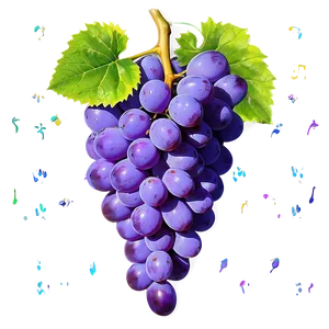 Vibrant Color Grape PNG Kaa PNG