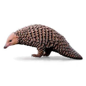 Vibrant Colored Pangolin PNG 06212024