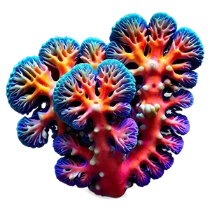 Vibrant Coral Formation Png Qji88 PNG image