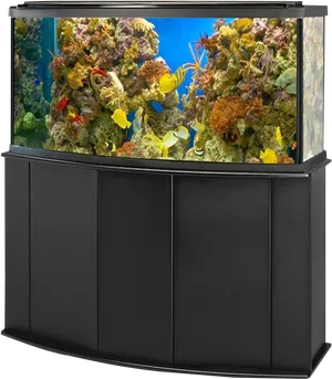 Vibrant Corner Aquarium Setup PNG image