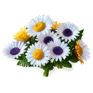 Vibrant Daisy PNG Cxa83