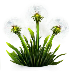 Vibrant Dandelion Field PNG 06292024 PNG