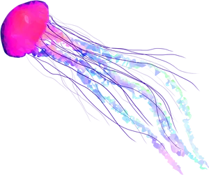 Vibrant Digital Jellyfish Art PNG image