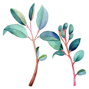 Vibrant Eucalyptus Watercolor Png Uix PNG image