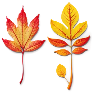 Vibrant Fall Colors Leaves Png 32 PNG image