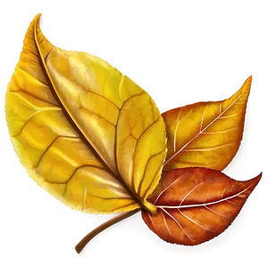 Vibrant Fallen Leaves Closeup PNG Htk PNG