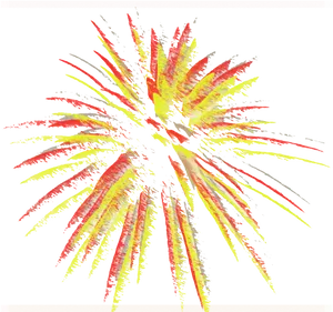 Vibrant Fireworks Display