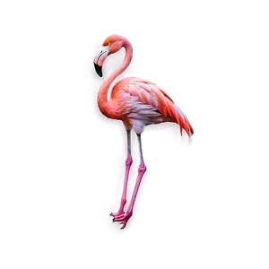 Vibrant Flamingo Print Png 95 PNG image