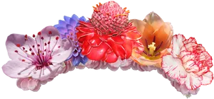 Vibrant Floral Arrangementon Black PNG image