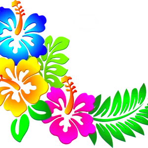 Vibrant Floral Designon Black Background PNG image