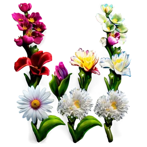 Vibrant Flores Spectrum Png Amf45 PNG image