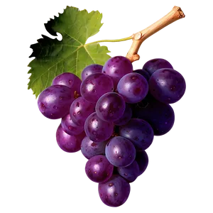 Vibrant Grape Clipart Png 06292024 PNG image