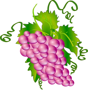 Vibrant Grape Cluster Illustration