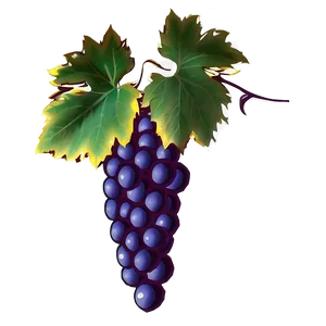 Vibrant Grape Cluster Illustration PNG image