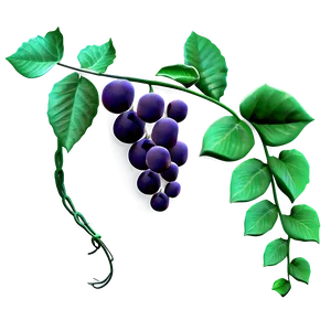 Vibrant Grapevine Illustration PNG image
