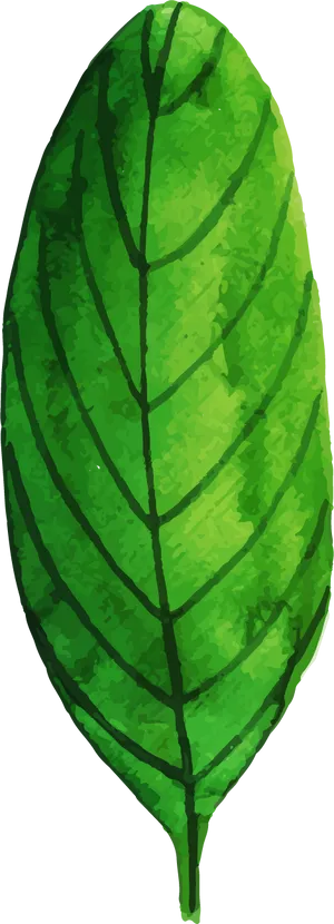 Vibrant Green Banana Leaf Illustration PNG image