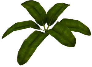 Vibrant Green Banana Leaves PNG image