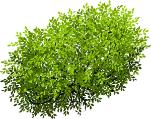 Vibrant Green Bush3 D Render PNG image