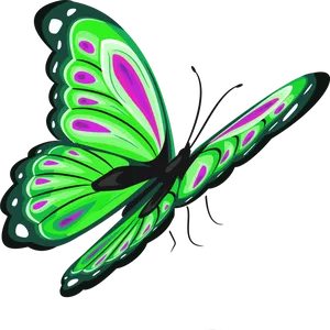 Vibrant Green Butterfly Illustration PNG image
