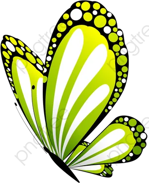 Vibrant Green Butterfly Wings PNG