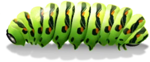 Vibrant Green Caterpillar Illustration