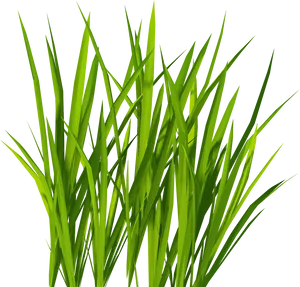 Vibrant Green Grass Black Background PNG image