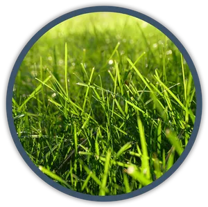 Vibrant Green Grass Circle PNG image