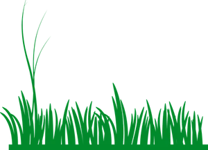 Vibrant Green Grass Silhouette PNG image