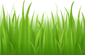 Vibrant Green Grass Vector PNG image