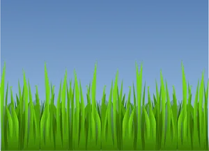 Vibrant Green Grass Vector