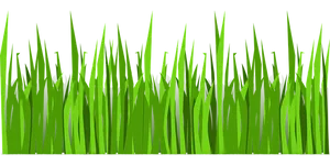 Vibrant Green Grass Vector PNG image