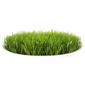 Vibrant Green Lawn Png Mvf58 PNG image